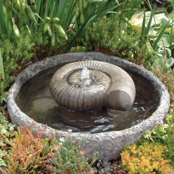Ammonite Fossil Stone Garden Water Feature