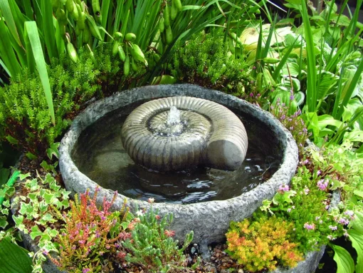 Ammonite Fossil Stone Garden Water Feature