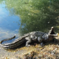 Baby Crocodile Bronze Metal Garden Ornament