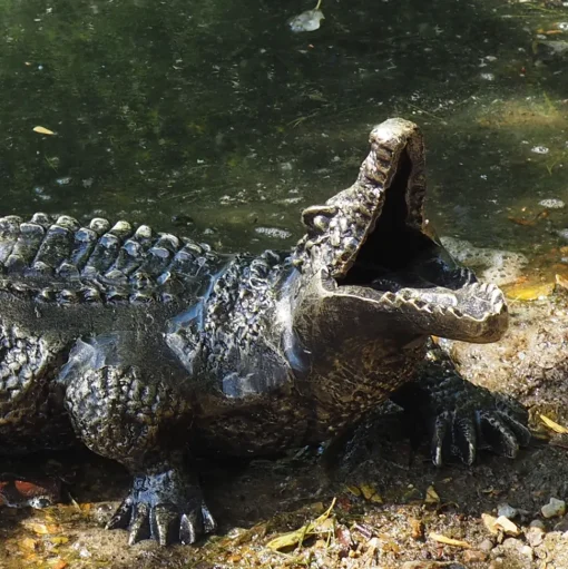 Baby Crocodile Bronze Metal Garden Ornament