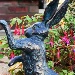 Battling Hares 50cm Bronze Metal Garden Statues