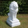 Classic Lion 71cm Marble Resin Garden Statue