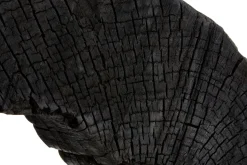 Cosmic Loop 43cm Black Wood Indoor Sculpture