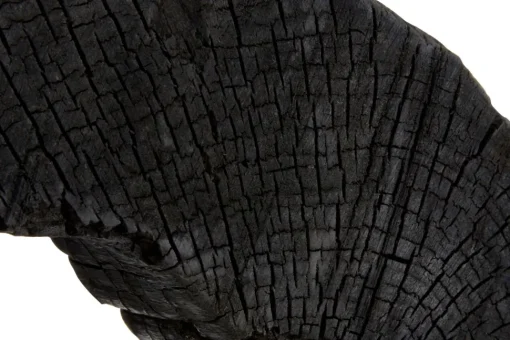 Cosmic Loop 43cm Black Wood Indoor Sculpture