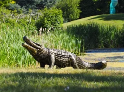 Crocodile Life-Size Bronze Metal Garden Statue