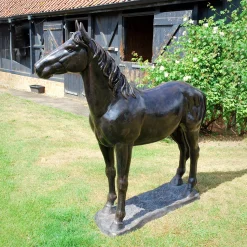 Extra Large Wild Horse Bronze Metal Garden Statue