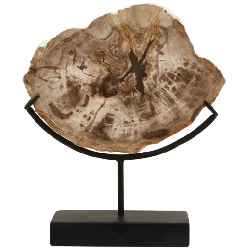 Forest Fusion 50cm Wood Indoor Sculpture
