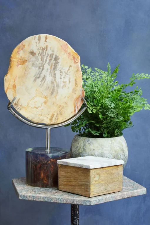 Forest Fusion 38cm Wood Indoor Sculpture