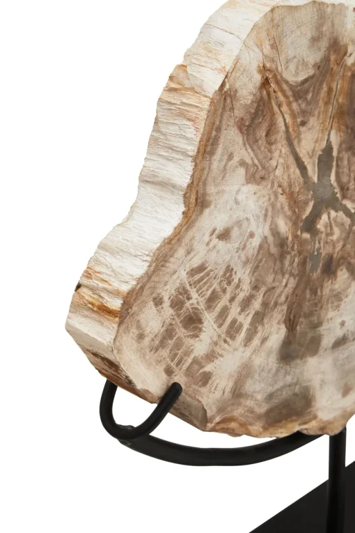 Forest Fusion 50cm Wood Indoor Sculpture
