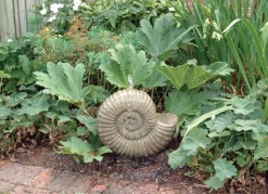 Grand Ammonite Fossil Stone Garden Water Feature
