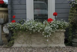 Grand Athena Trough Stone Garden Planter