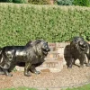 Grand Lions Bronze Metal Garden Statues