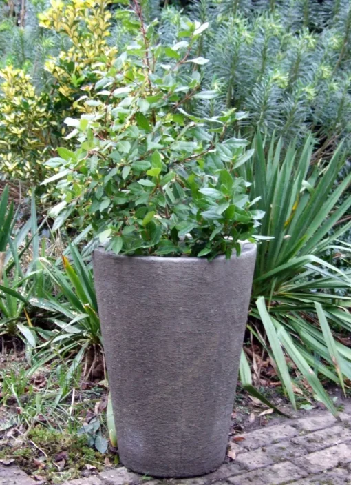 Grand Long Tom Vase Stone Garden Planter