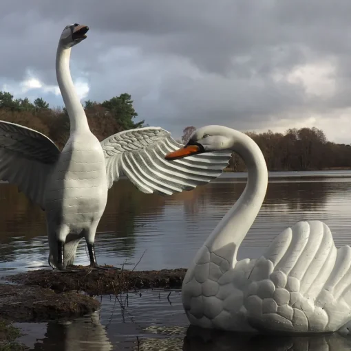 Grand Pair of Swans Antique White Metal Garden Statues