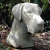 Great Dane Head Bust Stone Garden Ornament
