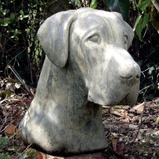 Great Dane Head Bust Stone Garden Ornament