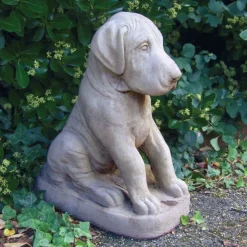 Great Dane Puppy Stone Garden Ornament
