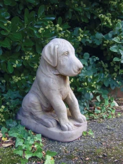 Great Dane Puppy Stone Garden Ornament