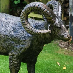 Manx Loaghtan Ram Life-Size Bronze Metal Garden Statue