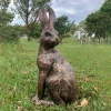 Noble Hare 62cm Bronze Resin Garden Ornament