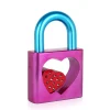 Passion Padlock 38cm Pink Resin Indoor Sculpture