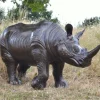 Rhino Bronze Metal Garden Statue
