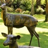 Stag Doe & Fawn Collection Bronze Metal Garden Statues