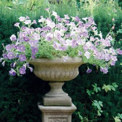 Victorian Medium Stone Garden Planter on Pedestal